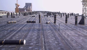 �d�(y��ng)��ˮ���ķ�ˮ����